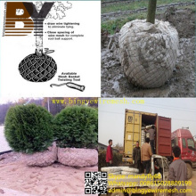 Transplante de raíz de bola Red árbol de la cesta de alambre